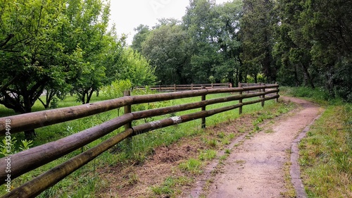 path in the woods