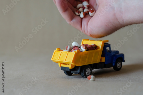 A hand pours anasazi beans into a truck body. photo