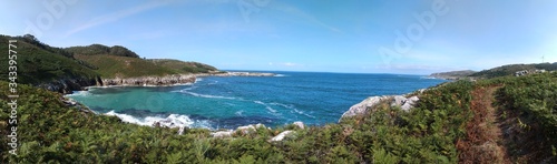 beach between cliffs with forest