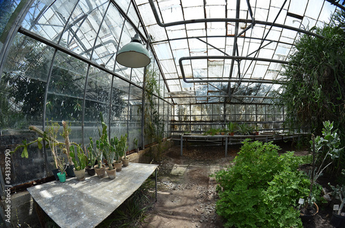 A botanical garden. The plants in the botanical garden, a fisheye lens photo