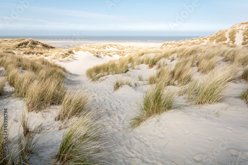 Dunes at the beach at Terschelling photo