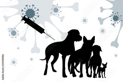 Vector silhouette of dogs with vaccination symbol injection on white background. Sign animal testing character.