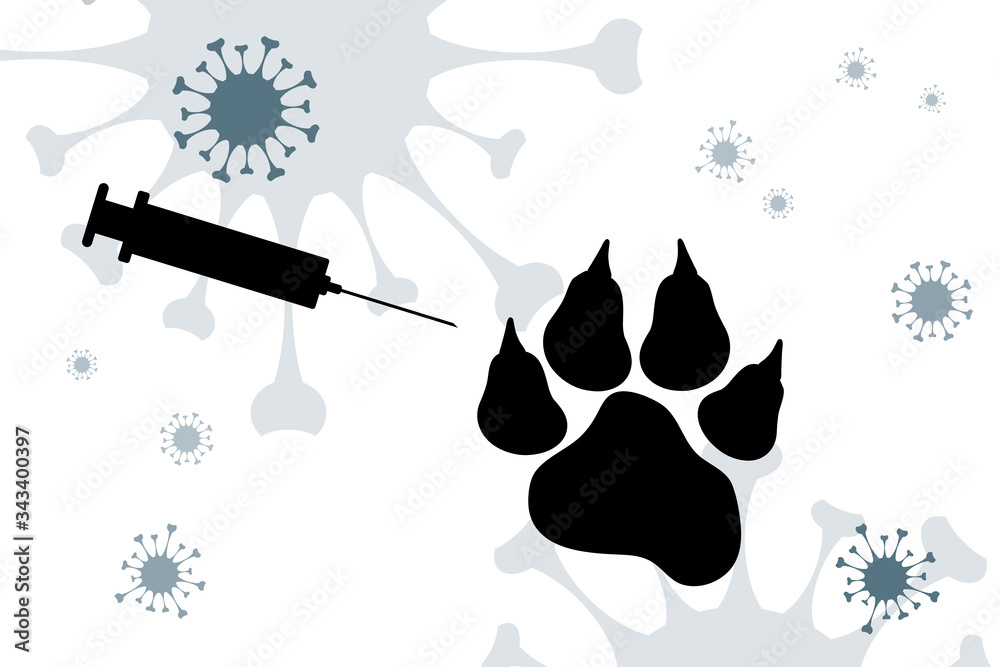 Vector silhouette of animal with vaccination symbol injection on white  background. Sign animal testing character. Stock Vector | Adobe Stock