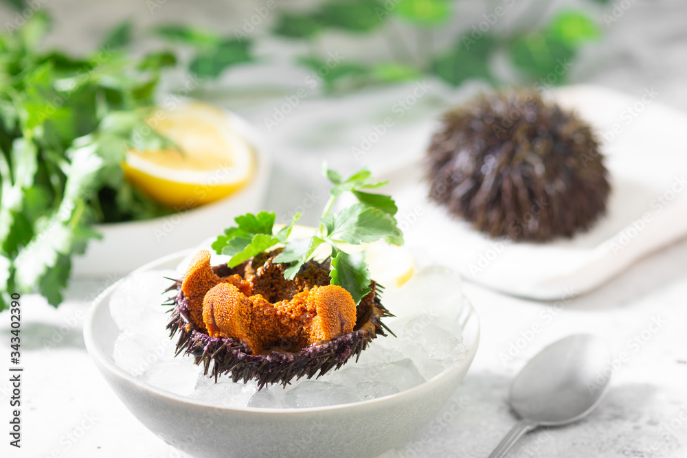 Sea urchin in a ceramic bowl with ice on a gray table. Sea urchin dish Sea urchin in a ceramic bowl with ice on a gray table. Sea urchin dish