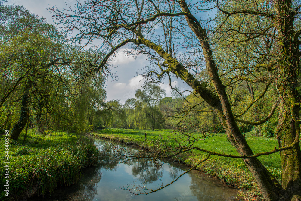 Countryside in Castle Combe Village, Cotswolds, Wiltshire,  UK