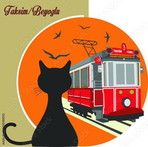 The cat that watches beautiful istanbul - The beyoglu of istanbul – Illustration - Turkey - istanbul. Black cat on the roof