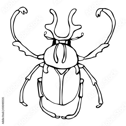 Vector illustration of an insect-beetle in the Doodle style, black outline on an isolated white background. Can be used for books, Wallpapers, postcards, banners, fabrics, textiles © Оля Лёлина