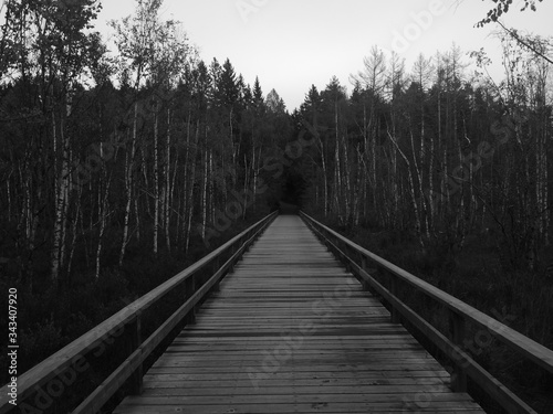 wooden bridge in the forest © Ferenc