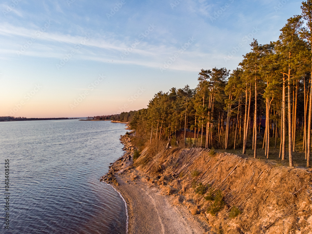 River Lielupe with right side view of beautiful old pine tree forest. Photo taken in Europe, Latvia, Sunset.