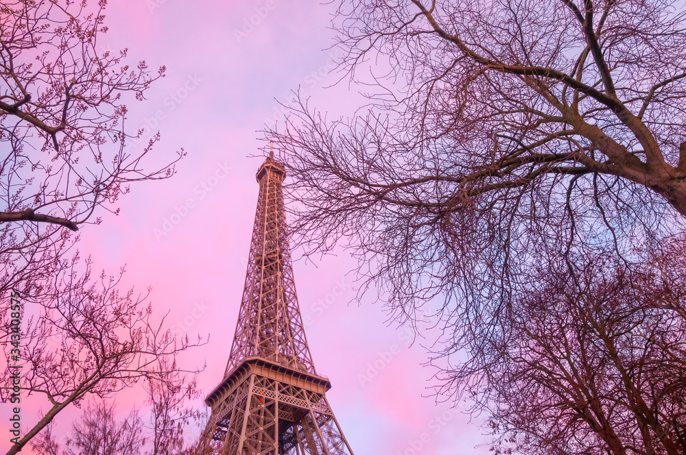 Paris, France. 01-28-2012. The Eiffel Tower seen from below through the bare branches of winter trees.