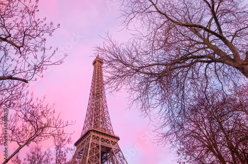 Paris, France. 01-28-2012. The Eiffel Tower seen from below through the bare branches of winter trees.
