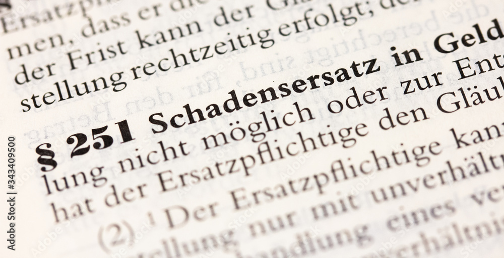 Schadensersatz in Geld in § 251 BGB Schadensersatz in Geld in § 251 BGB