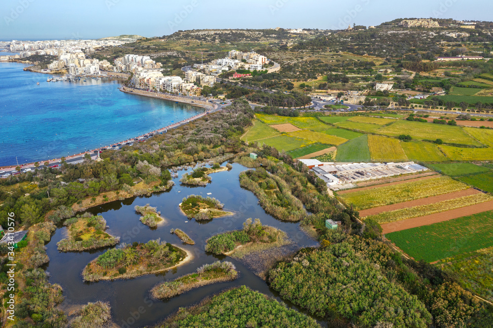 Aerial view of green colorful agriculture field, blue sea and Nature Reserve for birds. Countryside landscape. Malta island