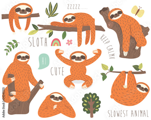 Cute Sloth Vector Collection Set