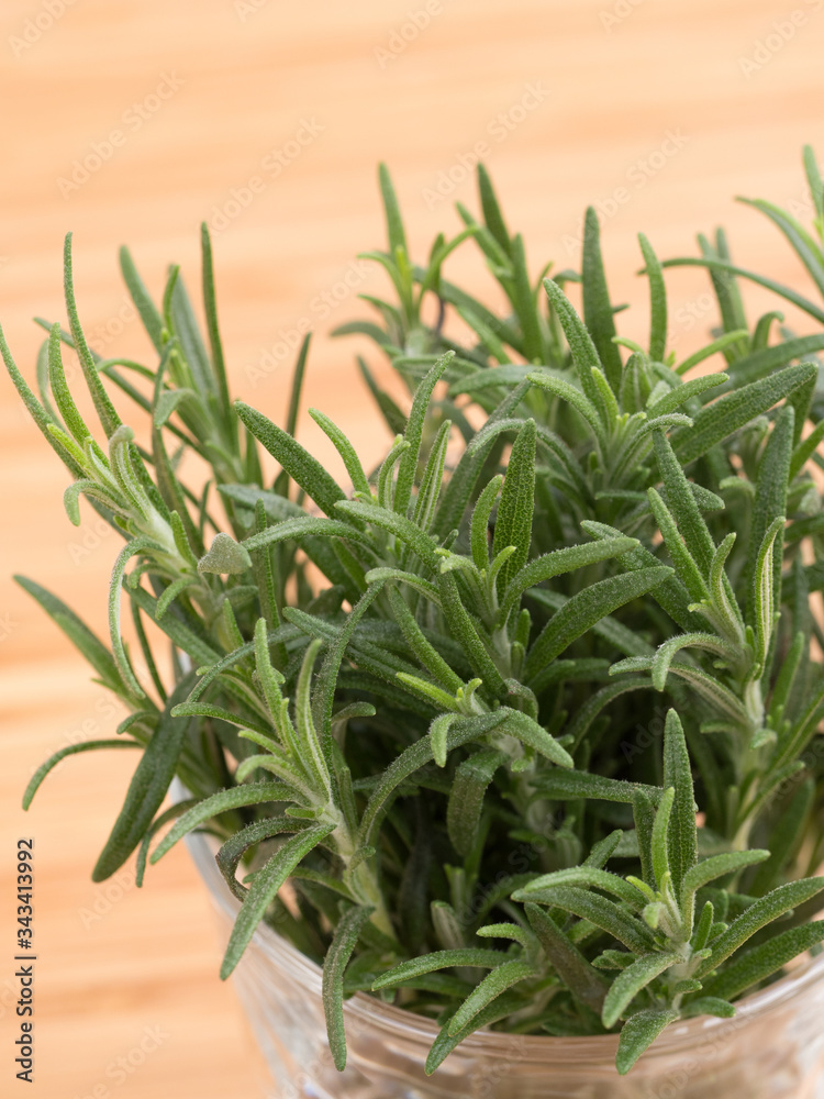 Fototapeta premium ハーブ ローズマリー