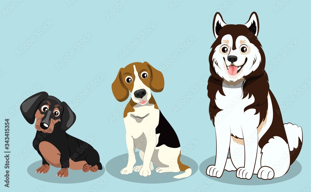 Dog Breed Husky, Beagle, Dachshund