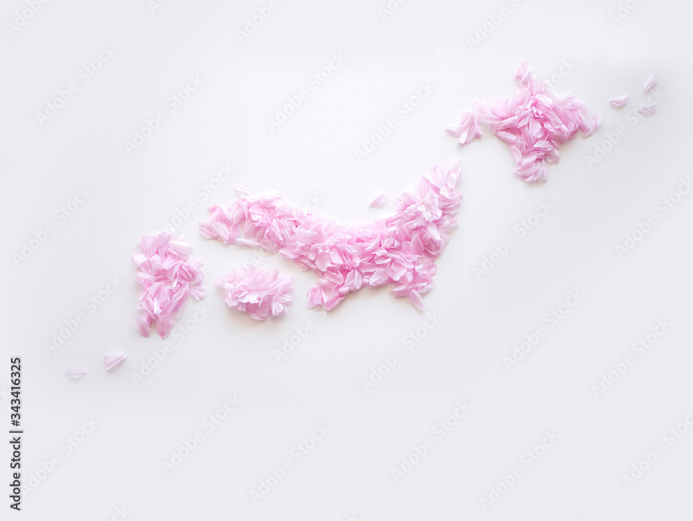 白バックにピンクの桜の花びらでできた日本地図 Stock Foto Adobe Stock
