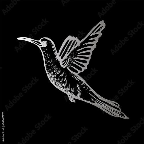 Illustration of a flying hummingbird. A little sophisticated bird. Chalk on a blackboard.