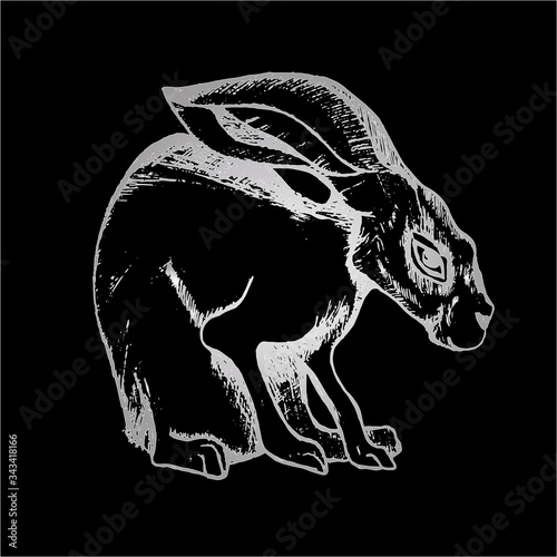 Illustration of a hare in the hatching style. Good animal.