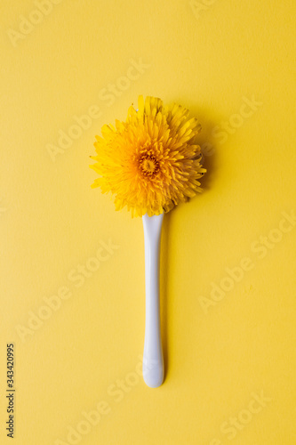 Close up of yellow dandelion head on white spoon on bright yellow background with copyspace  alternative medicine concept  vertical composition