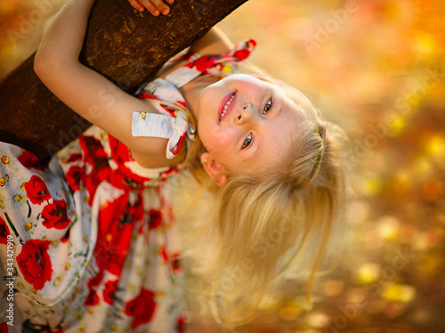 Portrait of a little pretty blond girl in long summer dress at red poppy climbing a tree in a park photo