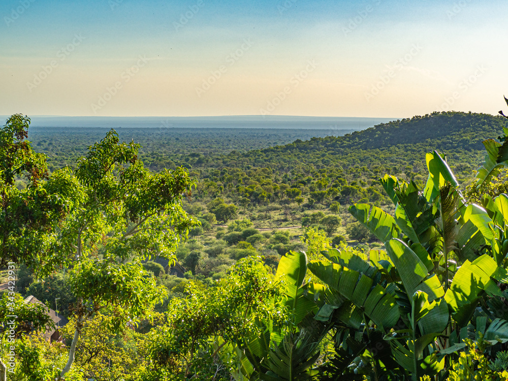 Fototapeta premium A Scenic Landscape to the Horizon