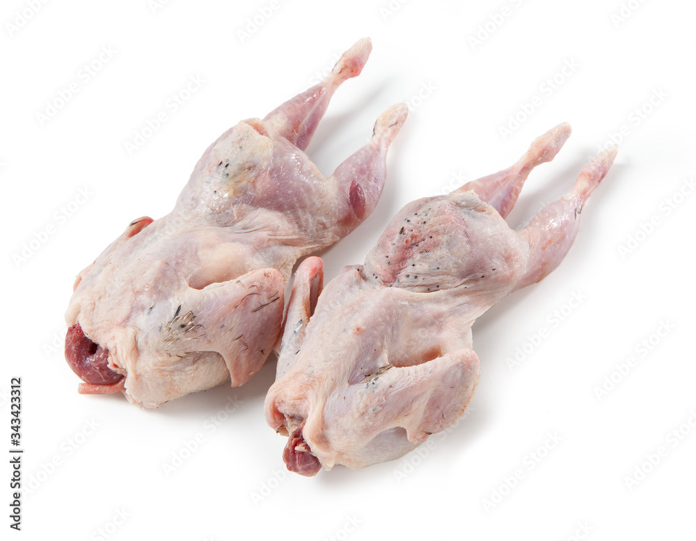 Two Whole Uncooked Quails – Isolated on White Background Two Whole Uncooked Quails – Isolated on White Background