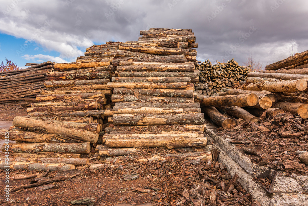 Sawmill for the treatment and processing of pine wood Sawmill for the treatment and processing of pine wood