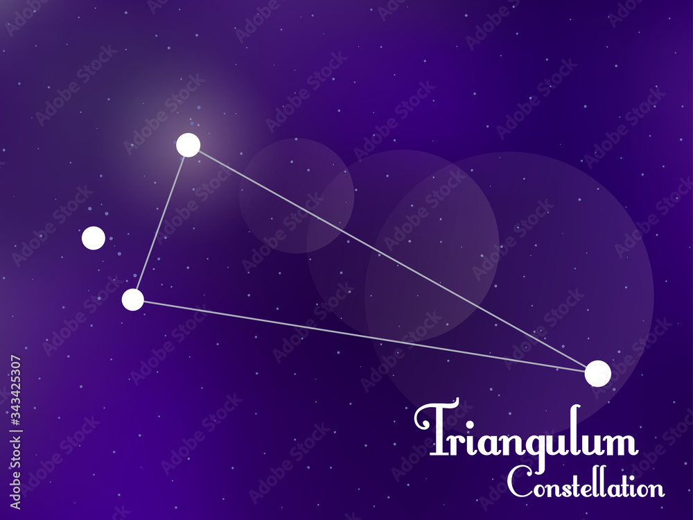Triangulum constellation. Starry night sky. Cluster of stars, galaxy. Deep space. Vector illustration
