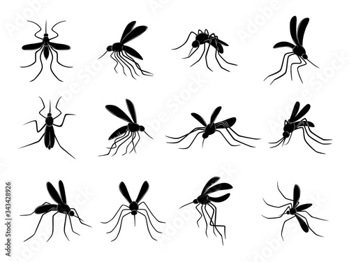 Mosquito. Flying insects carriers of viruses bloodsuckers vector drawn mosquitos. Insect mosquito, bloodsucking malaria pest illustration