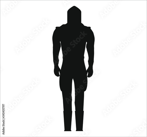 Knight Templar.Illustration for web and mobile design.