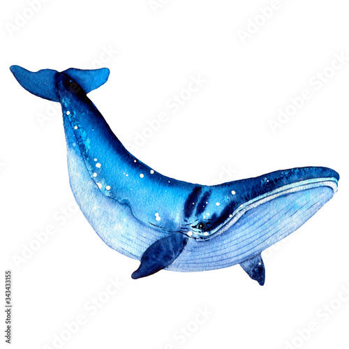 Blue whale. Summer mood, sea, ocean. Sea and ocean creatures in blue tones.