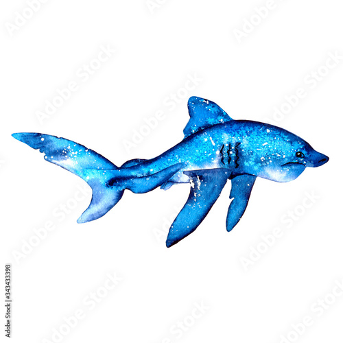 Blue shark  watercolor hand drawn illustration. Summer mood  sea  ocean. Sea and ocean creatures in blue tones.