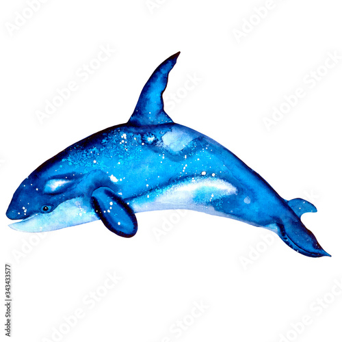 killer whale on a white background. Watercolor illustrations in simple realistic style for your design and print.