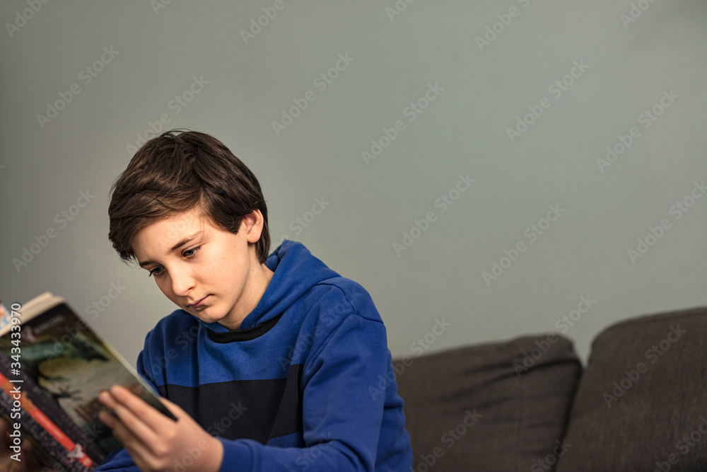 relaxed teenager solo reading a book seated on sofaeated on sofa