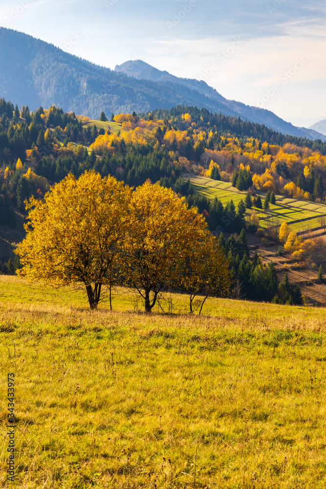 Naklejka premium NP Mala Fatra near Zilina, Slovakia