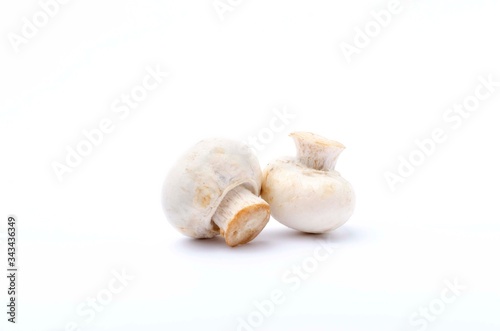 Fresh white champignon mushrooms on the white background.Ingrediets for meal preparation