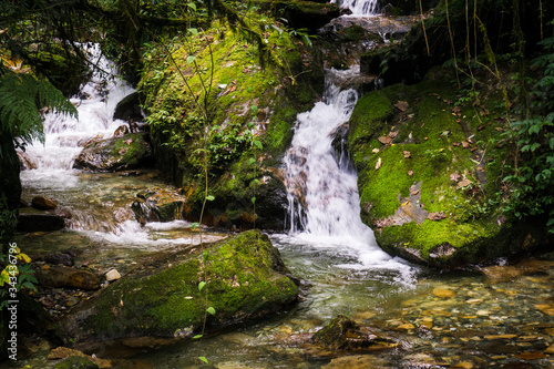 Water flowing through rocks covered with moss inside a forest. One of the waterfalls on the trail to Ghore Pani in Annapurna Base Camp Trek in Nepal.