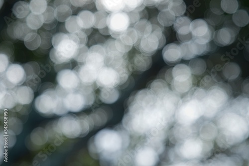 Bokeh background with white round circles on a dark background