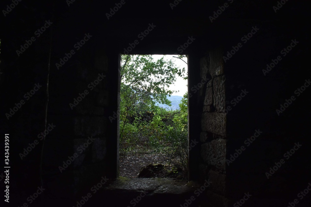 folliage trhoug a door inside ruins folliage trhoug a door inside ruins