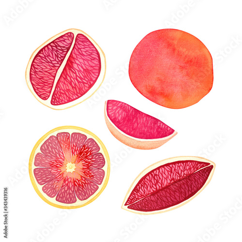 Hand drawn watercolor set of elements with citruses isolated on a white background. A whole grapefruit and its half, quarter, half and a slice of Sicilian or red orange. 