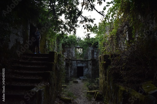 ruined monastery in the middle of a forest