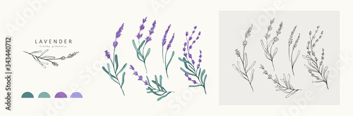 Lavender logo and branch. Hand drawn wedding herb, plant and monogram with elegant leaves for invitation save the date card design. Botanical rustic trendy greenery