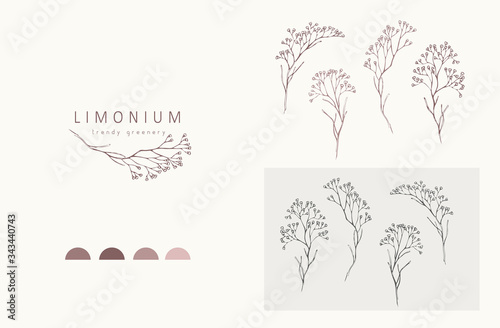 Limonium, babys breath logo and branch logo and branch. Hand drawn wedding herb, plant and monogram with elegant leaves for invitation save the date card design. Botanical rustic trendy greenery photo
