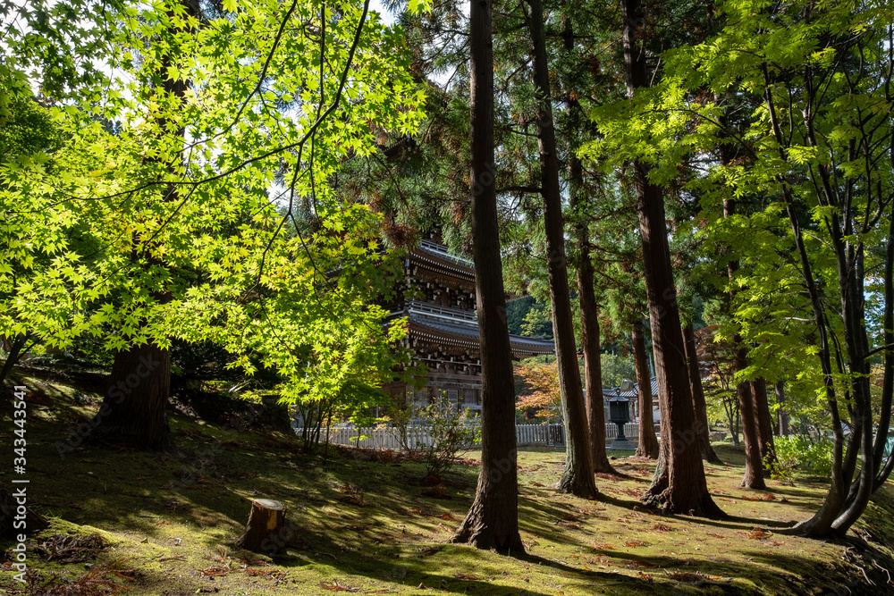 Obraz premium Suburb of japan After the epidemic crisis COVID-19,or Corona Viruses.