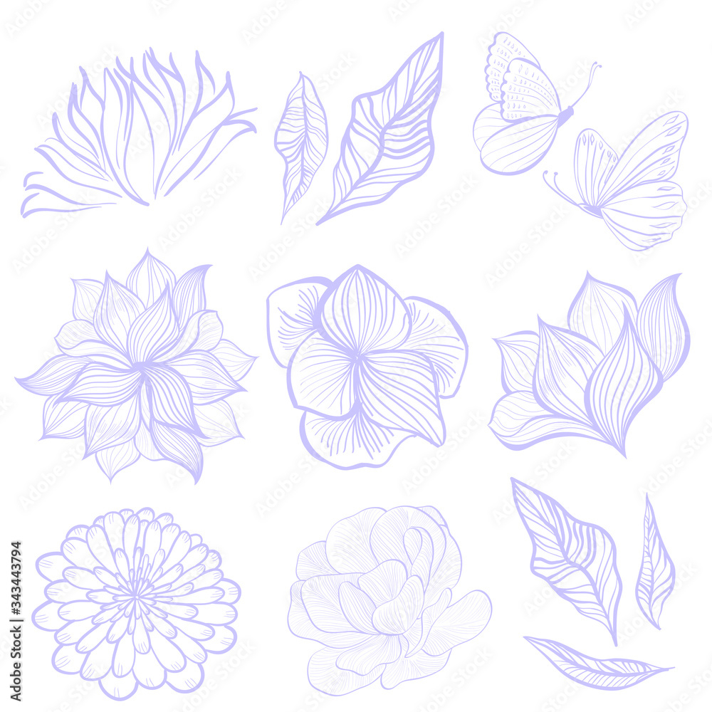 Hand drawn flowers and leaves, floral background, design elements. Vector illustration set. Flowers collection for your design.