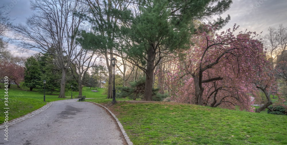 Fototapeta premium Central Park in spring