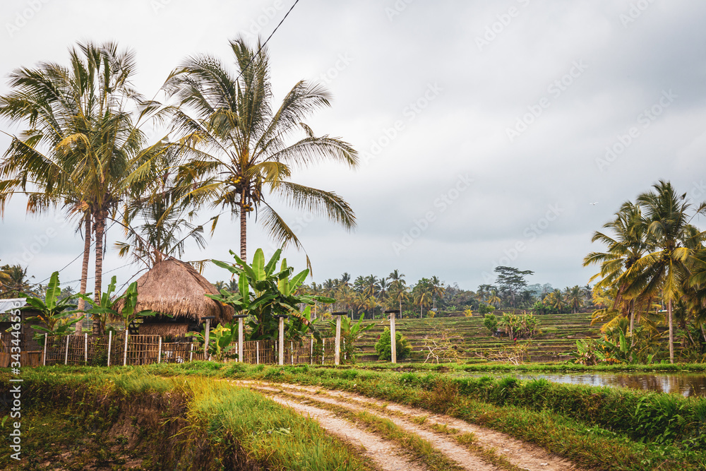 Fototapeta premium Indonesia 2019