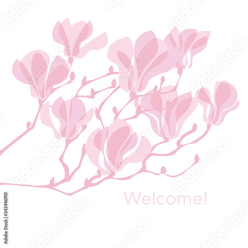 Pink silhouette magnolia flowers blossom