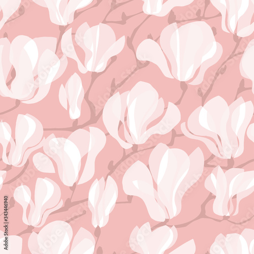 White tender magnolia flowe...